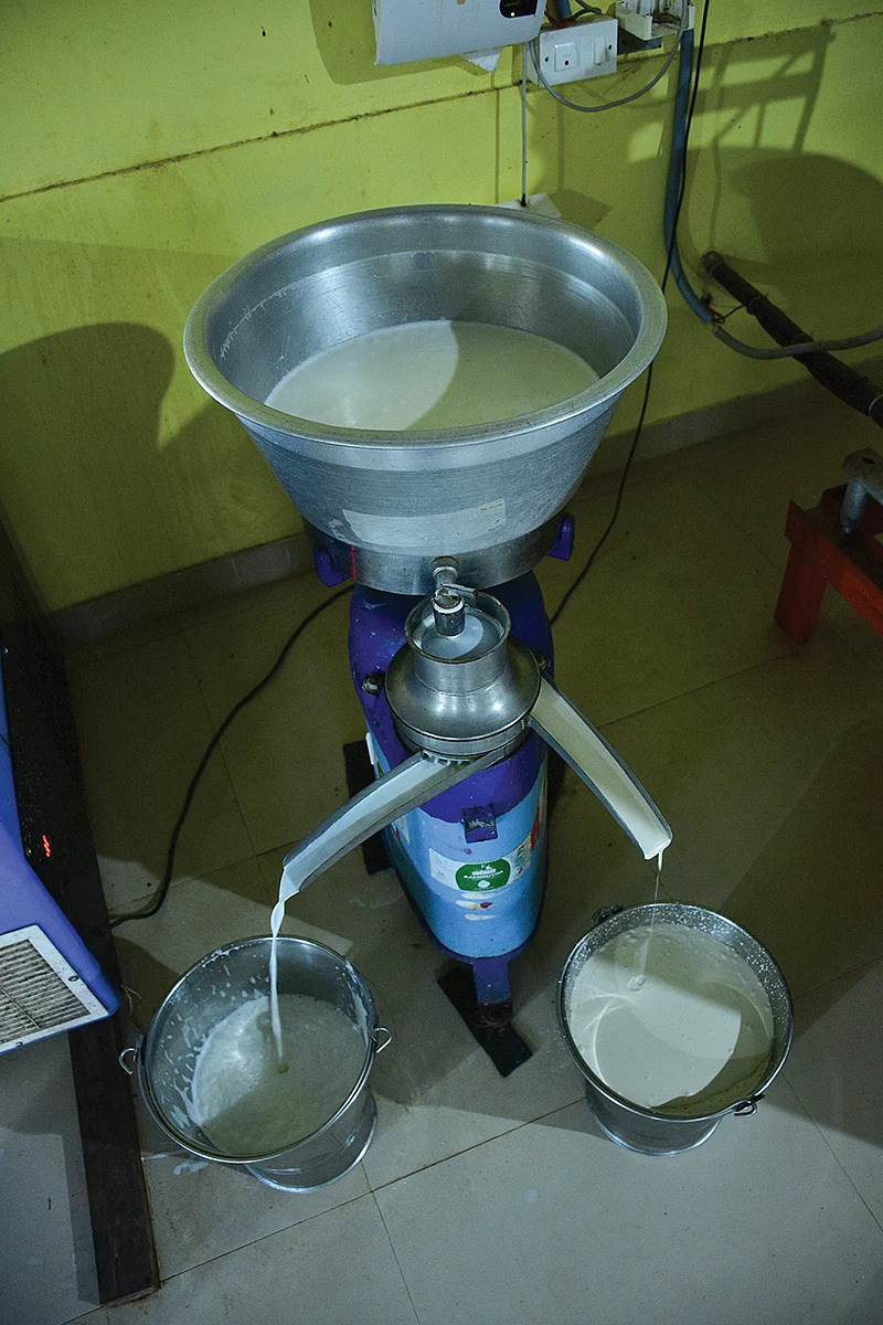 வெள்ளாட்டுப்பால்