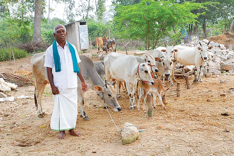 மாடுகளுடன் பசுபதி