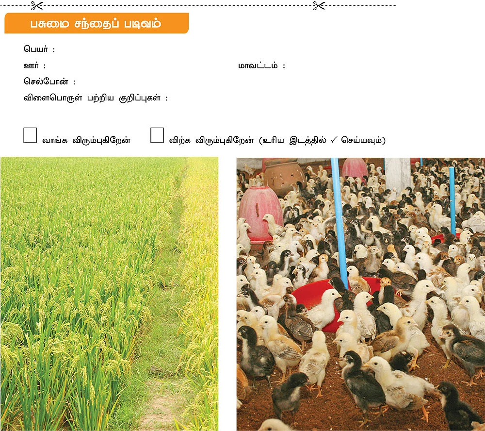 பசுமை சந்தை