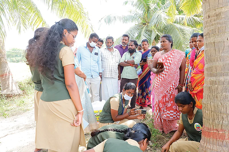 பயிற்சியில்