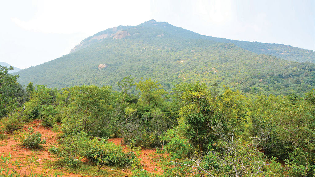 திருவண்ணாமலை