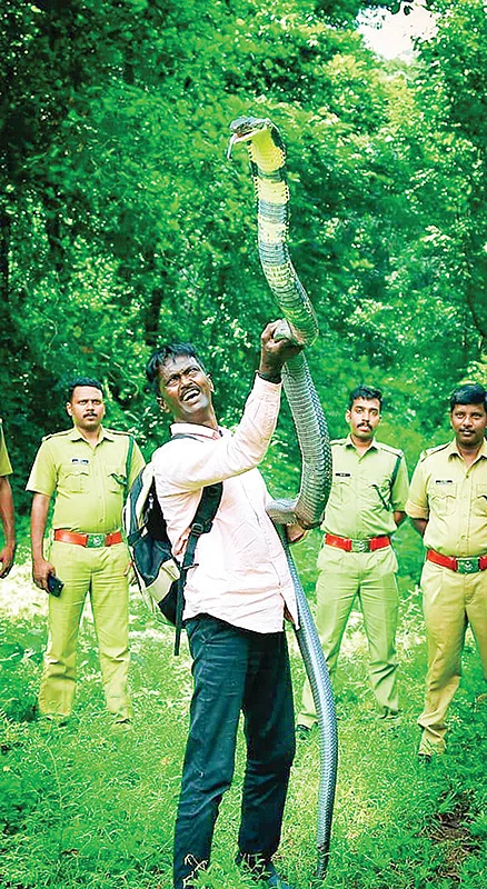 “என்னை 400 முறை பாம்பு கடித்திருக்கிறது!”
