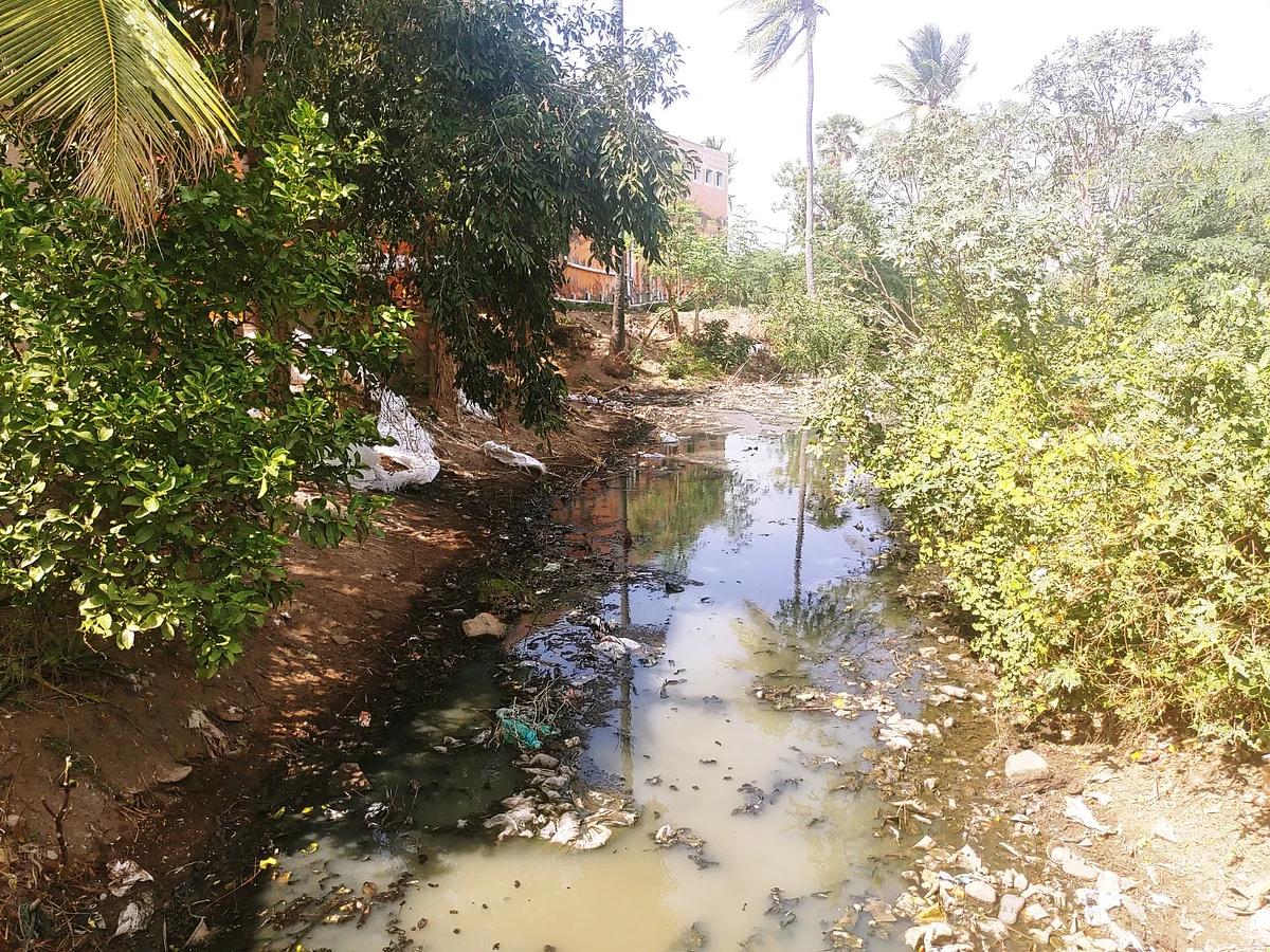 சாக்கடை செல்லும் வாய்க்கால்