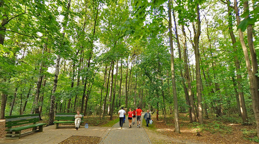 The Bitsa Park