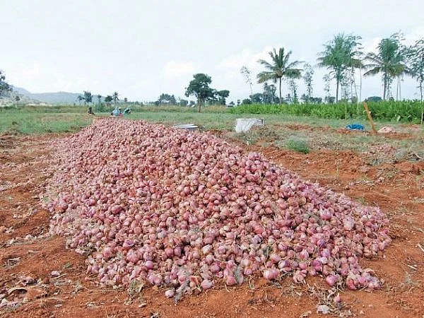 சின்ன வெங்காயம்