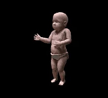 ஸ்டீபன் வில்ஹைட்க்கு பிடித்த GIF