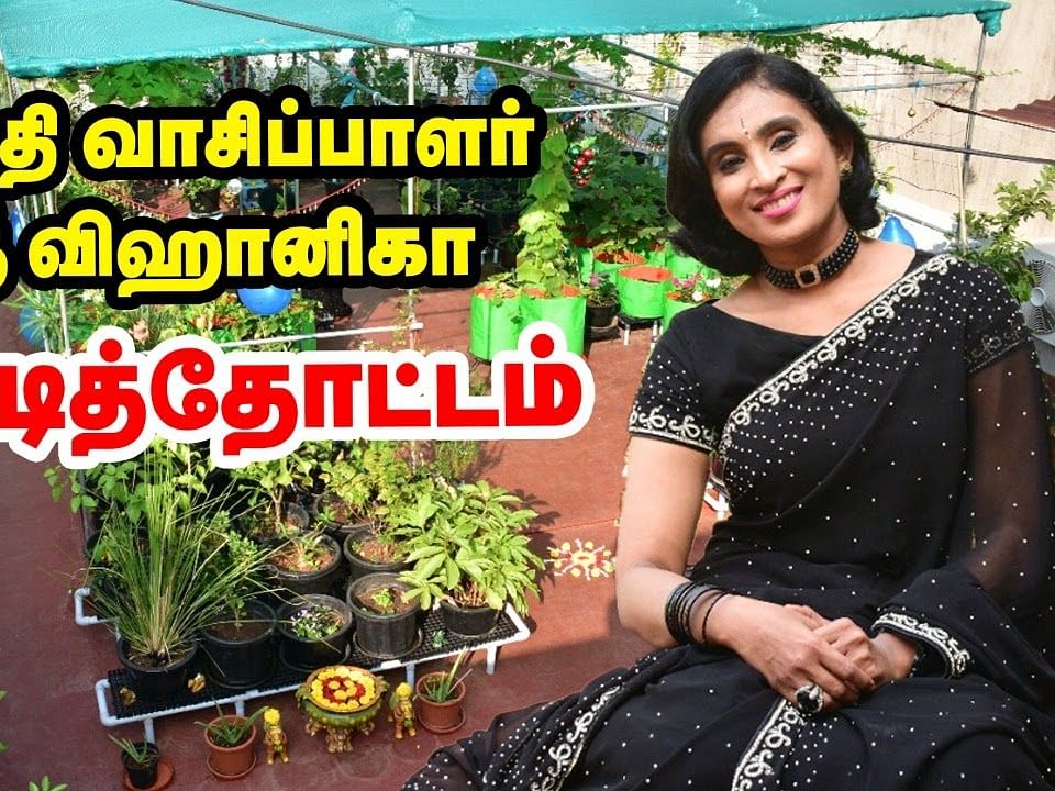 செய்தி வாசிப்பாளர் ஶ்ரீ விஹானிகா மாடித்தோட்டம்! | News reader Sree vihanika terrace garden tour