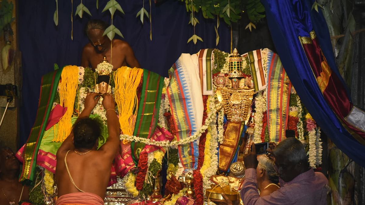 ஸ்ரீ பரிமள ரங்கநாதர் கோயிலில் திருக்கல்யாணம் 