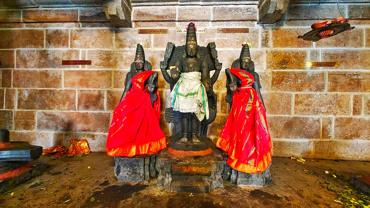 முருகப்பெருமான்