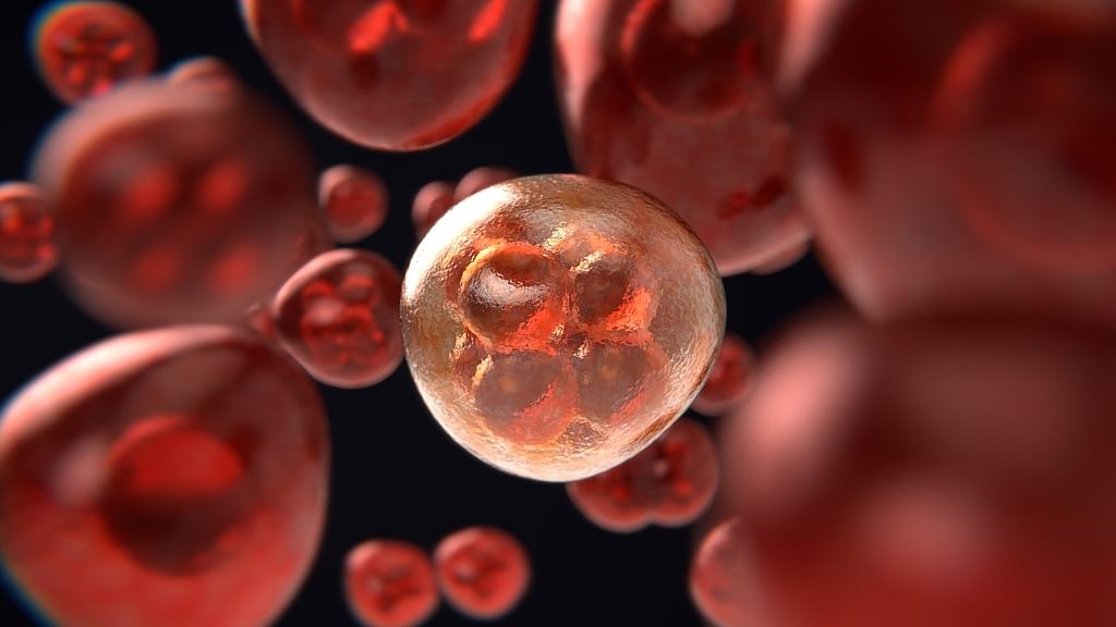 Blood (Representational Image)