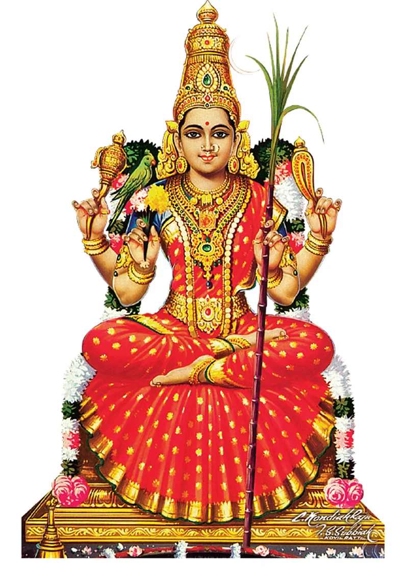 மங்கலம் பெருகும்
பங்குனி தரிசனம்!