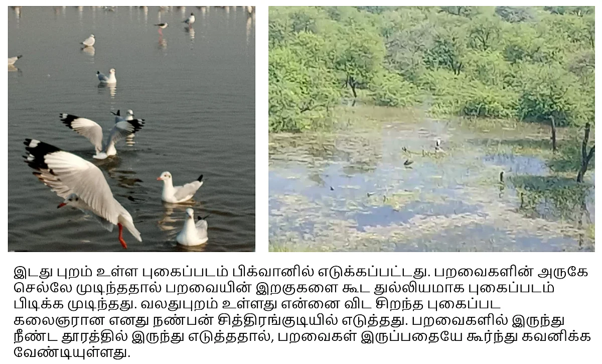 பிக்வான் (Bhigwan)