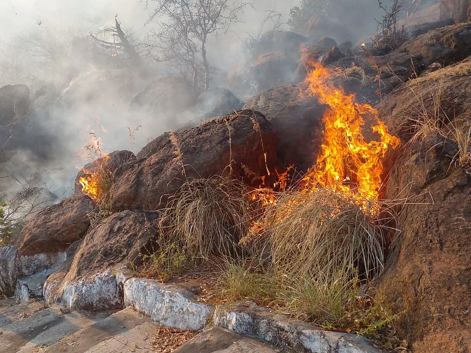 ராஜபாளையம் சஞ்சீவி மலையில் 'காட்டுத் தீ' - அரியவகை மூலிகைச் செடிகள் கருகும் அபாயம்