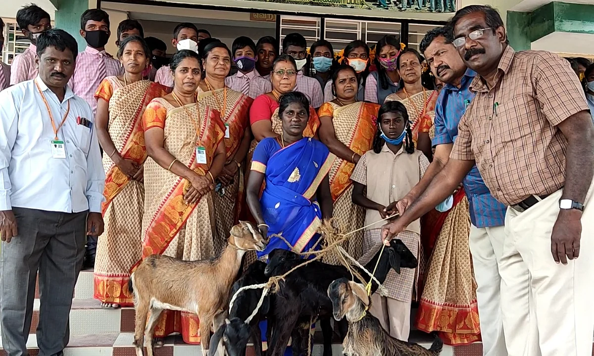 "அஞ்சு ஆட்டுக்குட்டிகளை வச்சுப் பிழைச்சுக்கோங்க"- மாணவியின் தாயை நெகிழ வைத்த ஆசிரியர்கள்!