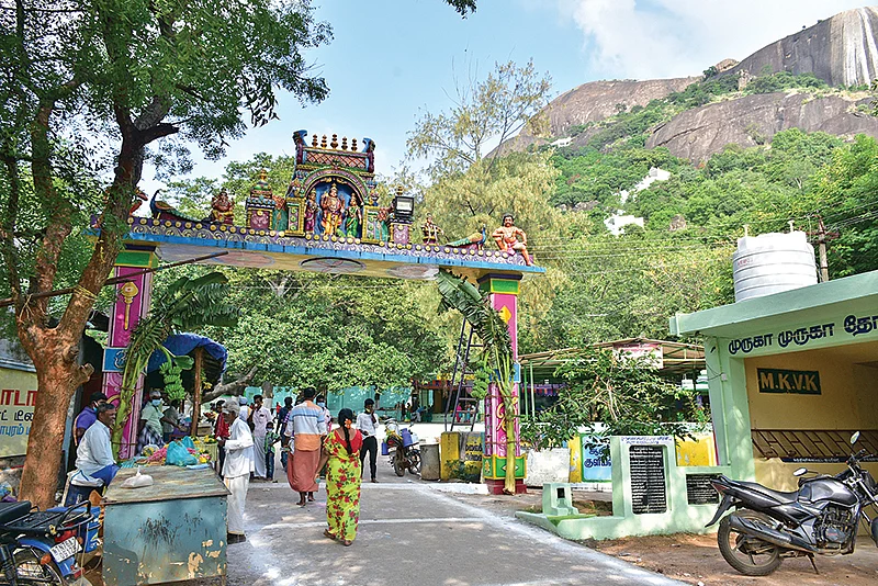 வாரணமும் தோரணமும்!