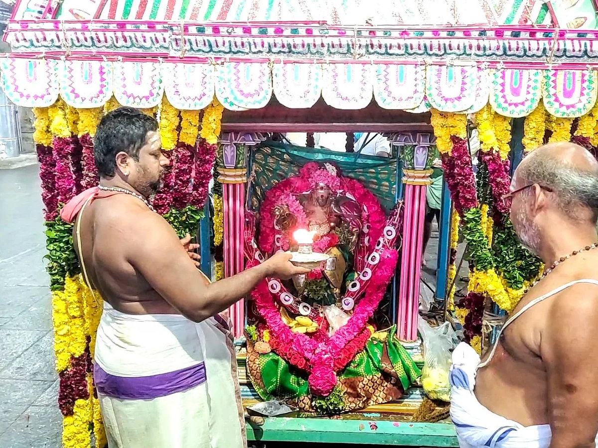 திருச்செந்தூா் சுப்பிரமணிய சுவாமி திருக்கோயிலில் பங்குனி உத்திரத் திருவிழா; வள்ளி திருக்கல்யாணம்!