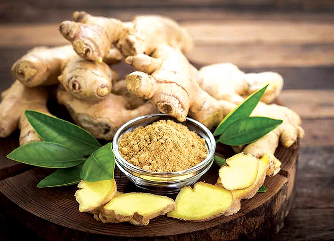 வீட்டிலேயே வளர்க்கக்கூடிய 30 வகை மூலிகைகள்! - உணவுக்கு உணவு... மருந்துக்கு மருந்து!