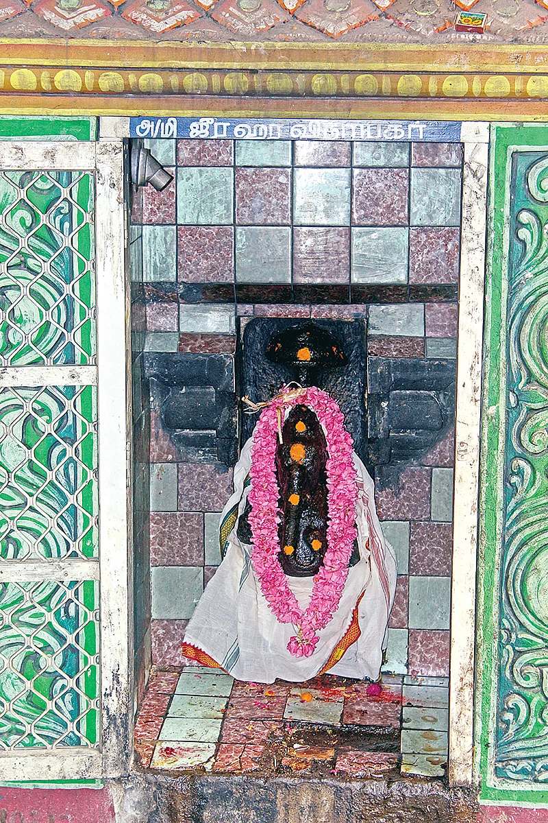 மிளகு ரசமும் துவையலும்...
காய்ச்சல் குணமாக அருளும் விசேஷ பிள்ளையார்!