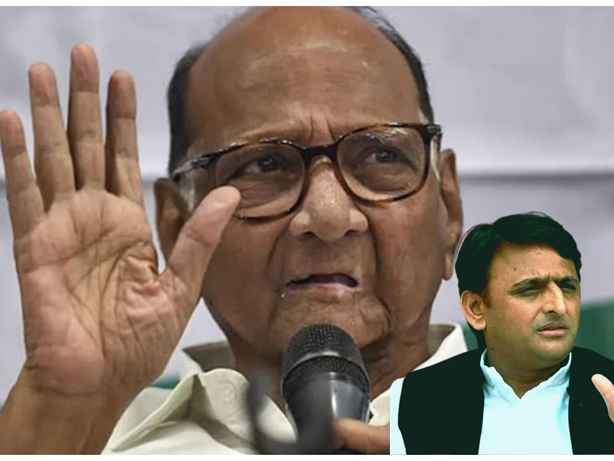 ``அகிலேஷ் யாதவ் தேர்தல் முடிவுகளைப் பற்றிச் சிந்திக்க வேண்டாம்!" - சரத் பவார் ஆறுதல்