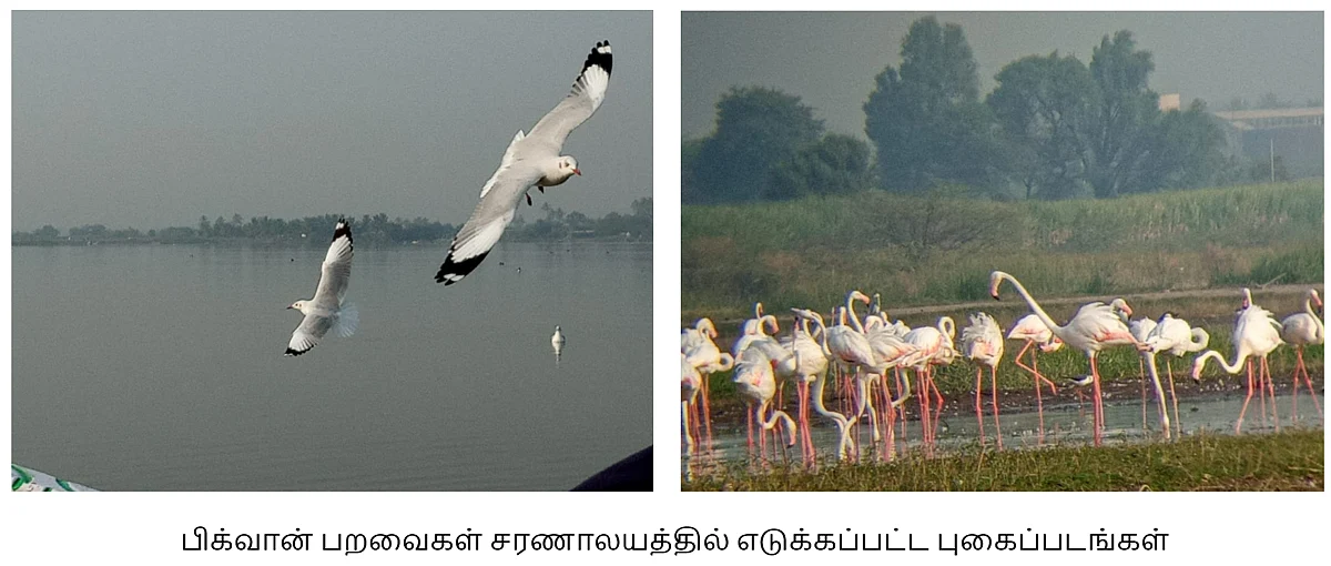 பிக்வான் (Bhigwan)