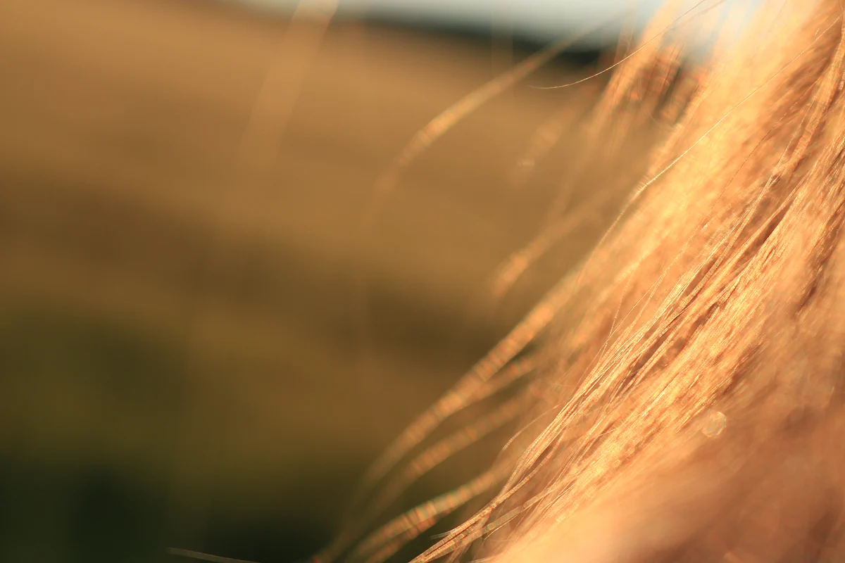 Hair
