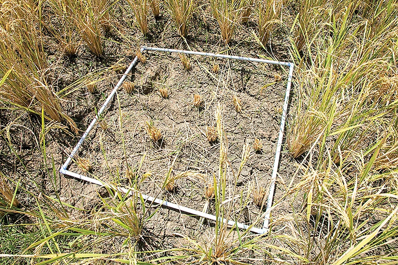 அறுவடை செய்வதற்கான அடையாளம்