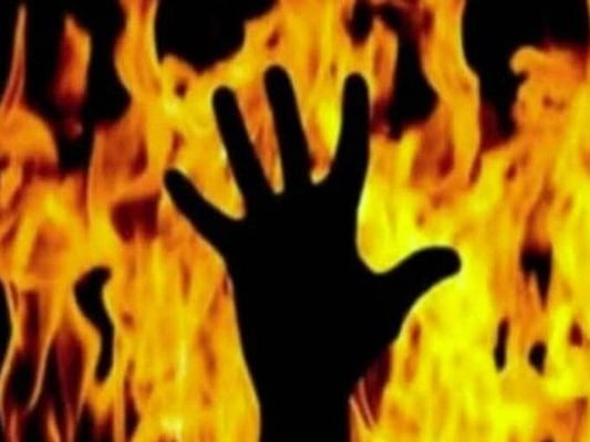 Doctor Vikatan: தீக்காயங்களை ஆற்றும் தன்மை கொண்டவையா மூலிகைகள்?