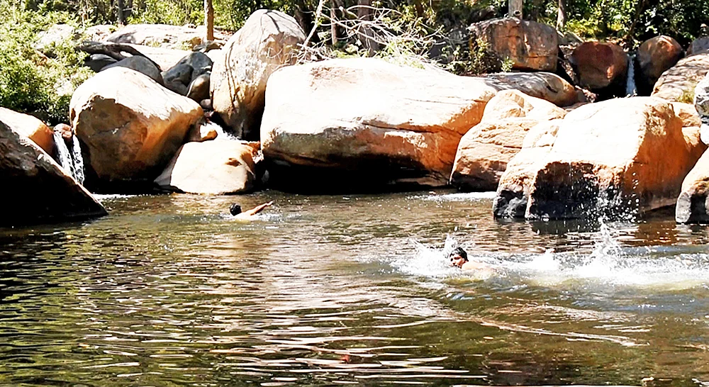 கோடந்தூர் காட்டுக்கு தார்களில் தாறுமாறு டிரைவ்!