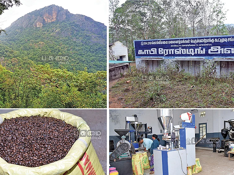 மிளகு உற்பத்தியில் முதலிடம்... காபி உற்பத்தியில் இரண்டாம் இடம்...!