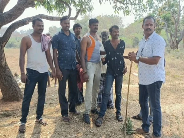 தென்காசி: புதருக்குள் பதுங்கிய ரௌடி... டிரோன் உதவியுடன் பிடித்த போலீஸ் - சினிமாவை மிஞ்சிய த்ரில்!