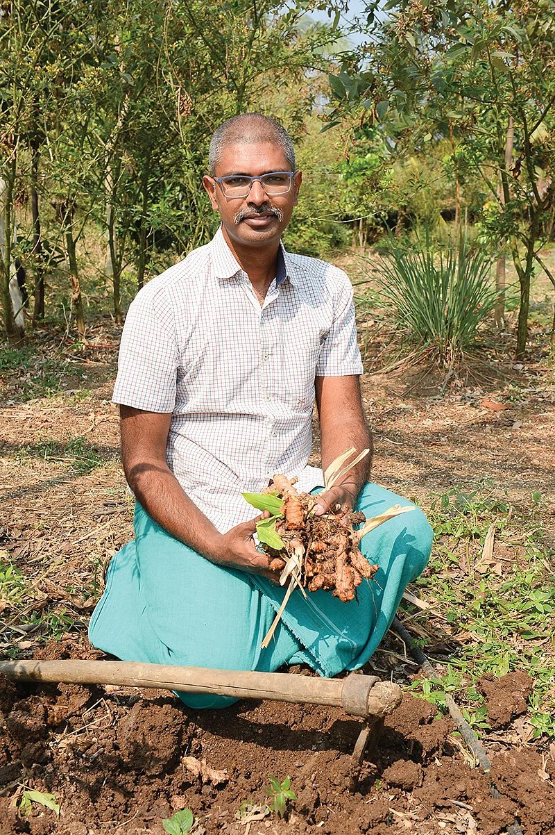 மஞ்சளுடன்