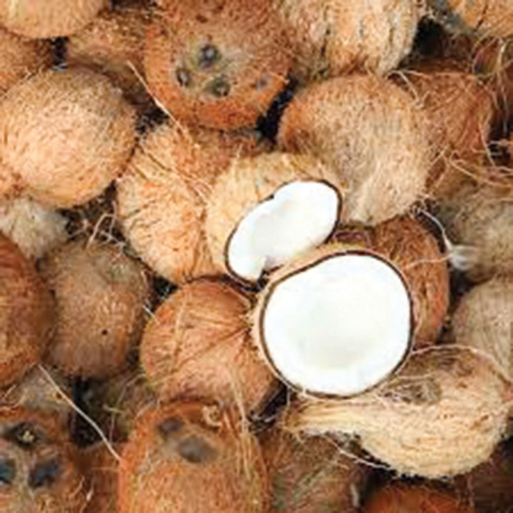 அனுபவங்கள் ஆயிரம்!
