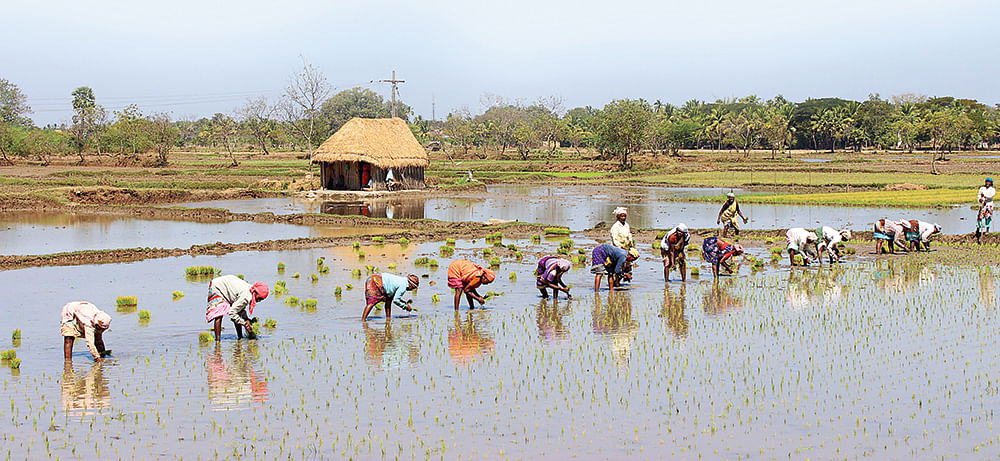 கனவு - 14 - அரியலூர் - வளமும் வாய்ப்பும்