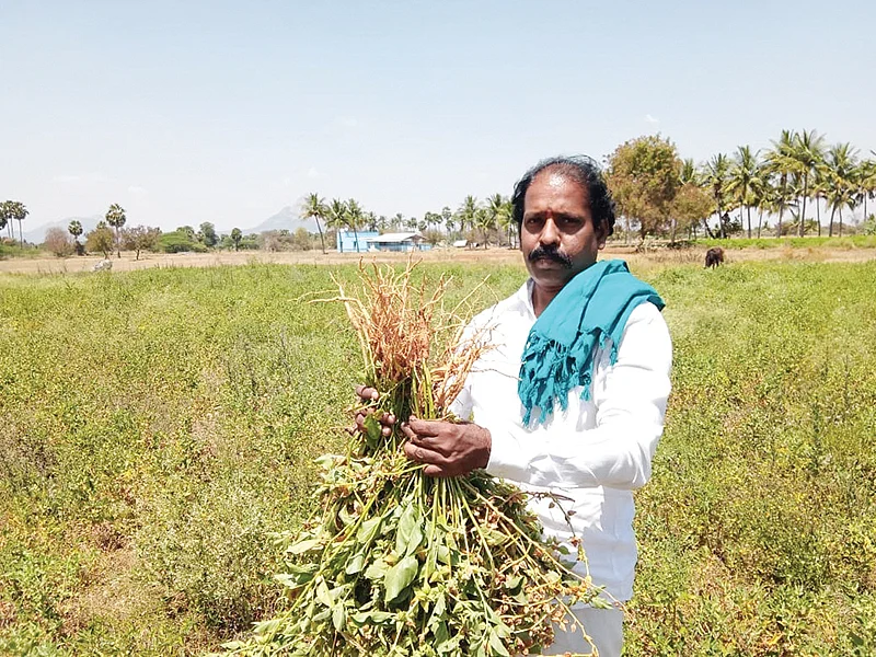 அஸ்வகந்தா