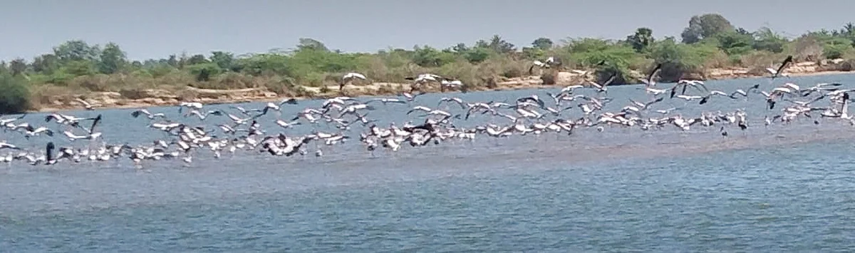 இன்பாக்ஸ்