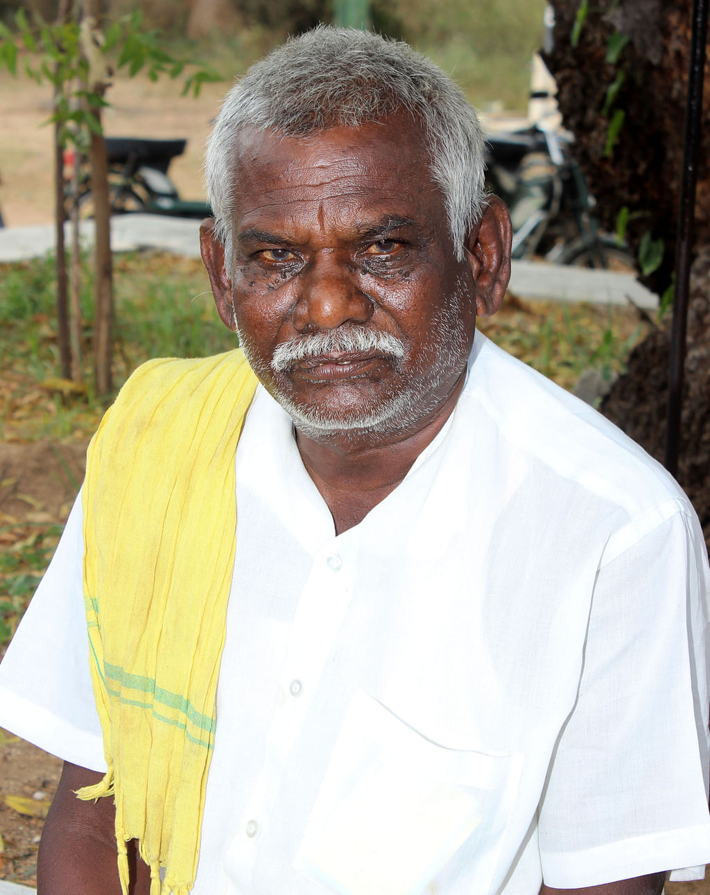 வீரபொம்மு
