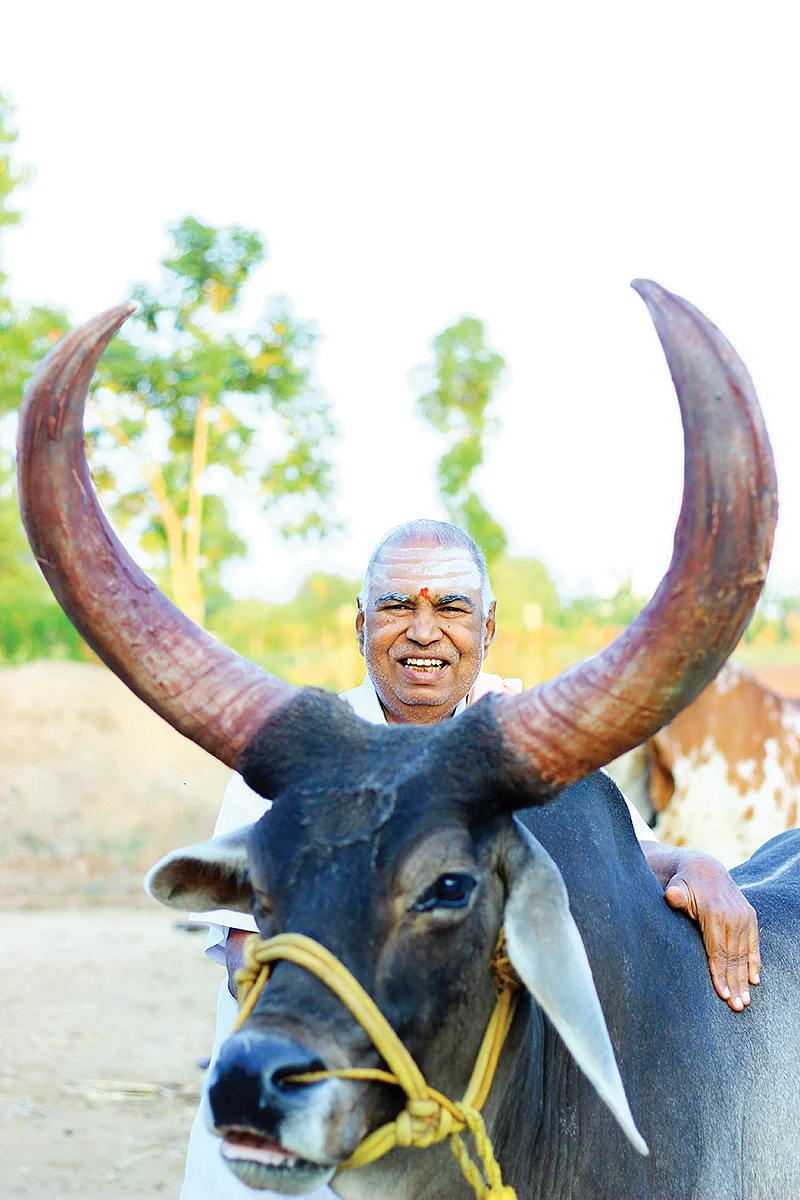 டாக்டர் நடராஜன்