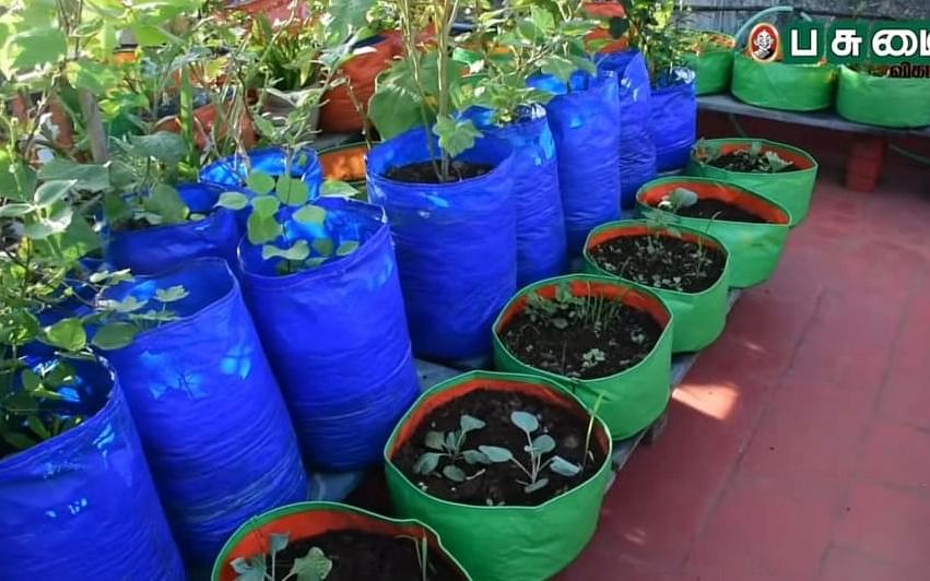 How to: மாடித்தோட்ட குரோ பேக் தேர்ந்தெடுப்பது எப்படி? | How to choose grow bag for terrace garden?