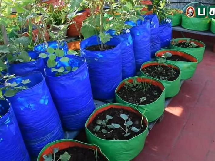 How to: மாடித்தோட்ட குரோ பேக் தேர்ந்தெடுப்பது எப்படி? | How to choose grow bag for terrace garden?