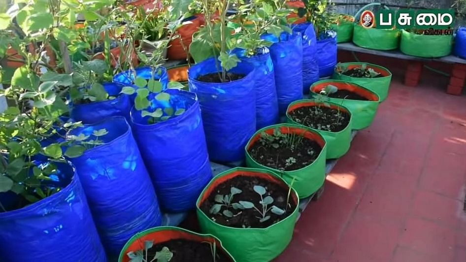 Grow Bag