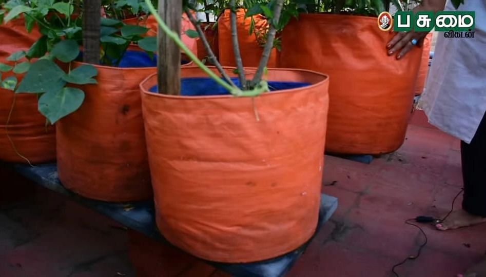 Grow Bags