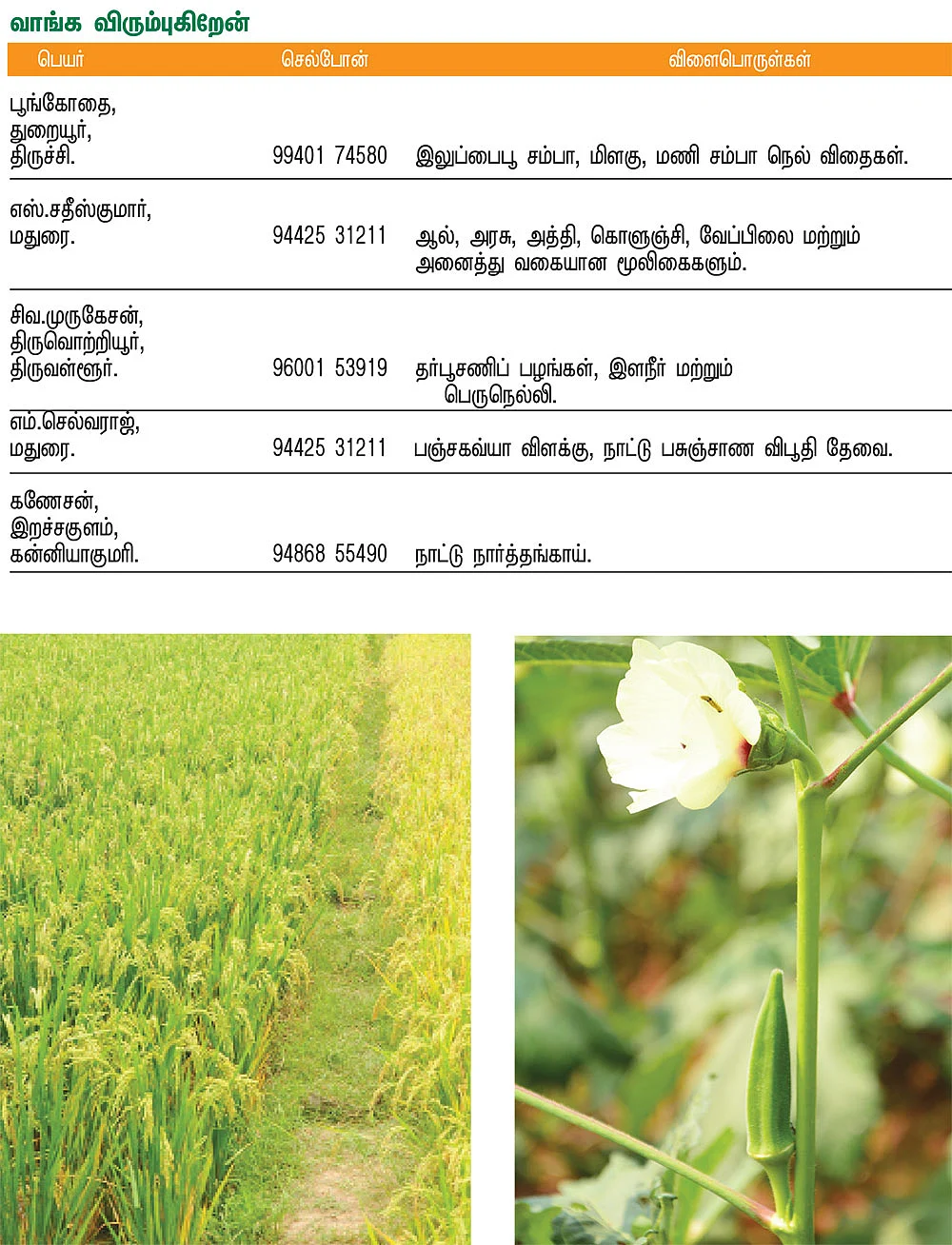 பசுமை சந்தை