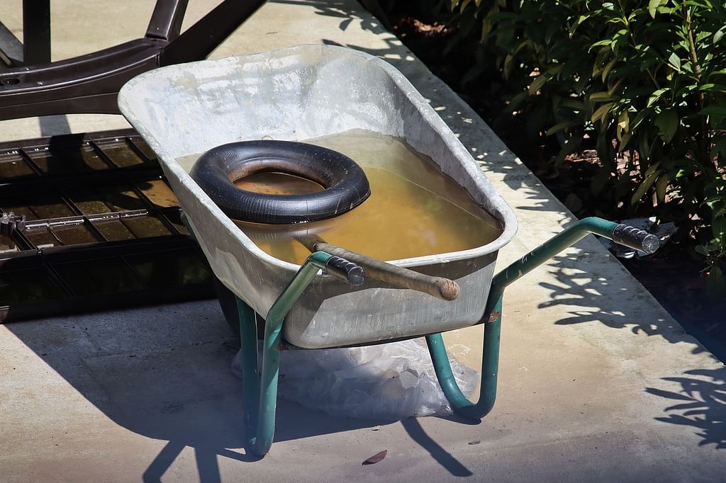 stagnant water (representational image)