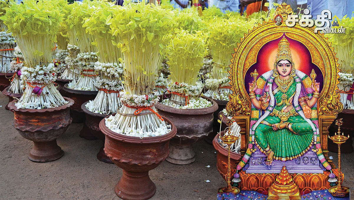 முளைப்பாலிகை