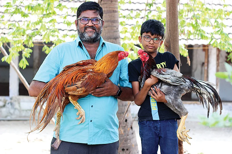 நாட்டுக் கோழிகளுடன் மாதேஸ்வரன்
