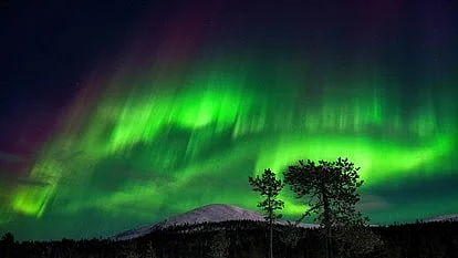 Aurora polaris | Northern lights
