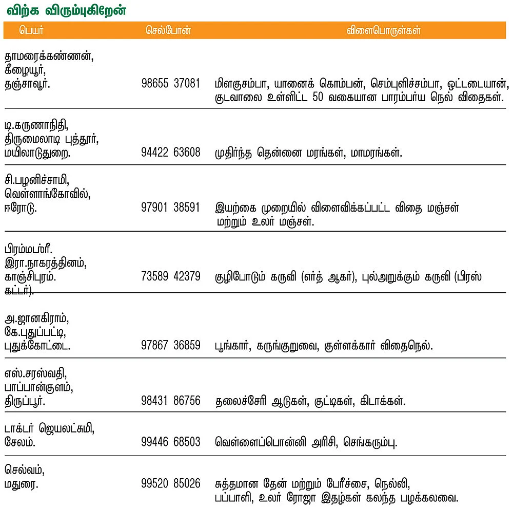 பசுமை சந்தை