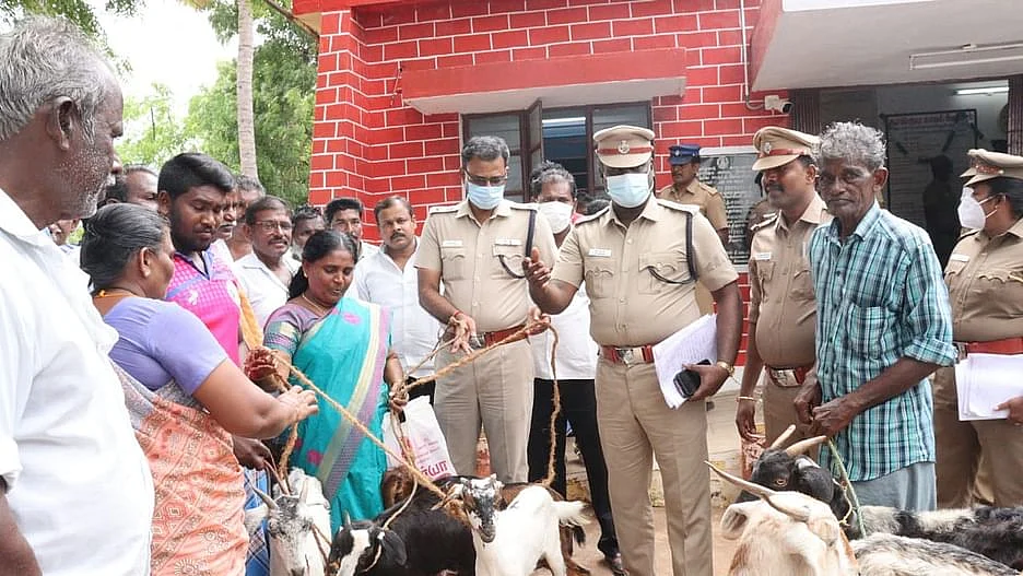 உரியவரிடம் ஒப்படைக்கப்பட்ட ஆடுகள்