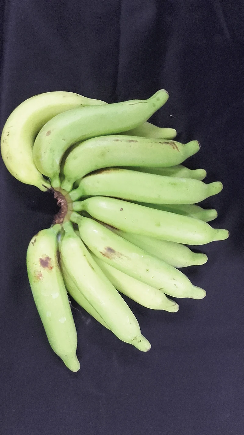 பிசாங் லிலின் வாழை