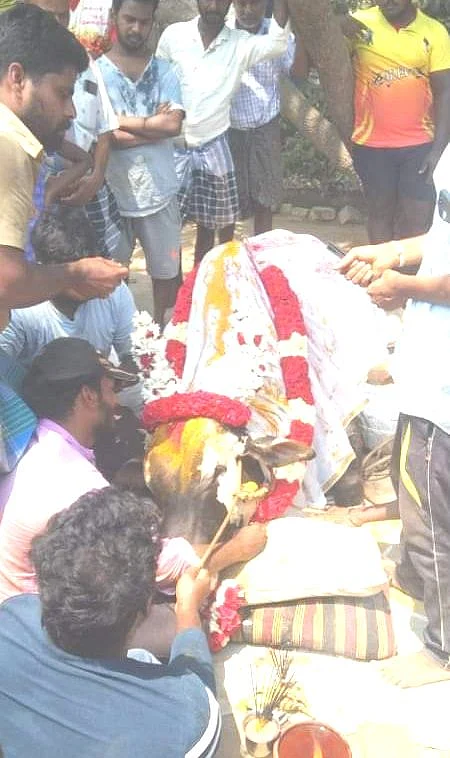 காளையை கட்டித்தழுவி கதறி அழுத மக்கள்